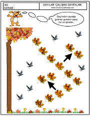 sıradaki sayıyı bulma çalışma sayfaları